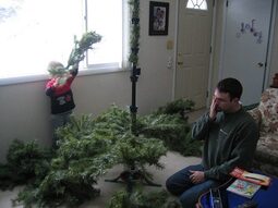 thumbnail of putting-together-artificial-christmas-tree.jpg