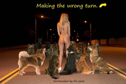 thumbnail of The wrong turn.jpg