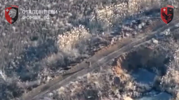 thumbnail of 65165154.mp4