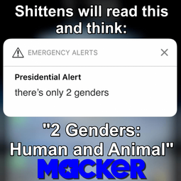 thumbnail of 2 Genders.png