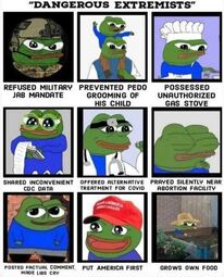 thumbnail of dangerous extremists_pepe_meme.JPG