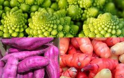 thumbnail of exotic-vegetables.jpg