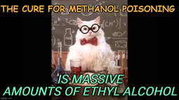 thumbnail of THE CURE FOR METHANOL POISONING.jpg