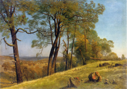 thumbnail of Albert Bierstadt (1830-1902) Landscape, Rockland County, California - Oil on paper laid down on canvas c1872.jpg