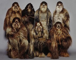 thumbnail of WookieeWarriors1.jpg