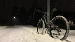 thumbnail of IMG_5797.jpg