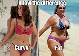 thumbnail of curvy vs fat.jpg