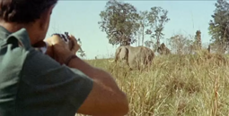 thumbnail of Охота на слонов истребление ружьё слонобой.webm