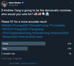 thumbnail of Ginsley Poll Trump vs yang 5 days left.png
