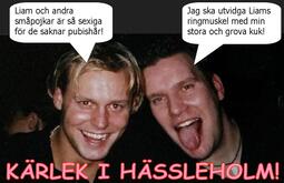 thumbnail of Loveinhassleholm.jpg