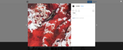 thumbnail of Clayton_Robertson_(@crxiii666)_•_Instagram_photos_and_videos_-_2019-10-10_06.23.15.png