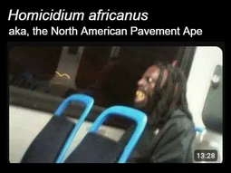 thumbnail of The North American Pavement Ape- Homicidium africanus.png