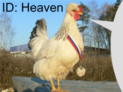 thumbnail of 16684585763190.png