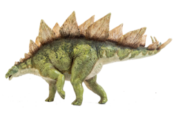 thumbnail of stegosaurus.png