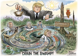 thumbnail of theswamp.jpg