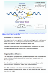 thumbnail of mRNA m6a.png