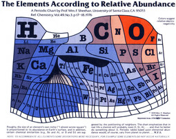 thumbnail of the-elements-according-to-relative-abundance_50882e44c2027_w1500.jpeg