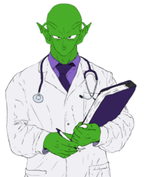 thumbnail of Piccolo_Doc.png