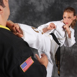 thumbnail of karatekick4.jpeg