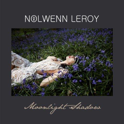 thumbnail of Nolwenn Leroy - Moonlight Shadow.mp3