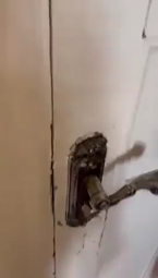 thumbnail of 1736993252968440.webm