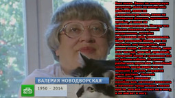 thumbnail of вн.jpg