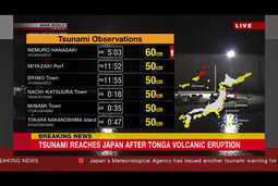 thumbnail of tsunami-observations.jpg