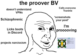 thumbnail of proover bv.png