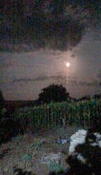 thumbnail of 1681924749454104.jpg