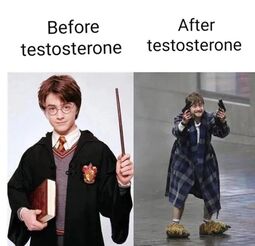 thumbnail of testosterone.jpg