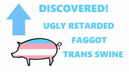 thumbnail of trans pig.mp4