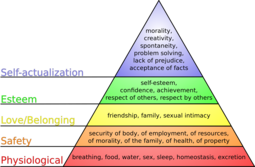 thumbnail of Maslow's_hierarchy_of_needs.svg.png