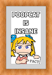 thumbnail of Poopcat is Insane.jpg