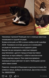 thumbnail of Screenshot_20241222_171205_VK.jpg