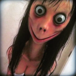 thumbnail of Screenshot_20250418-065537~2.png