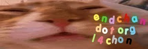 a random 4chon banner